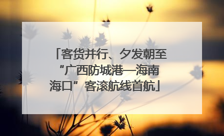 客货并行、夕发朝至 “广西防城港—海南海口”客滚航线首航
