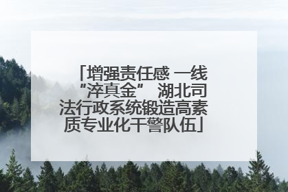 增强责任感 一线“淬真金” 湖北司法行政系统锻造高素质专业化干警队伍