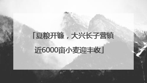夏粮开镰，大兴长子营镇近6000亩小麦迎丰收