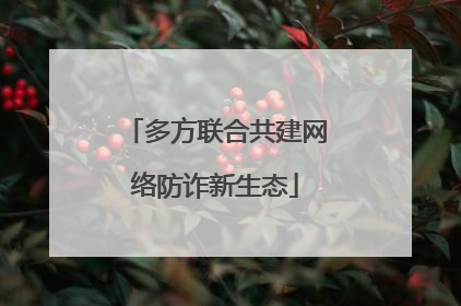 多方联合共建网络防诈新生态