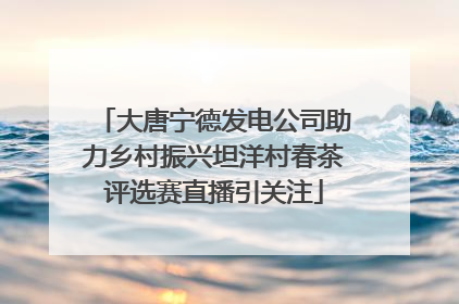 大唐宁德发电公司助力乡村振兴坦洋村春茶评选赛直播引关注
