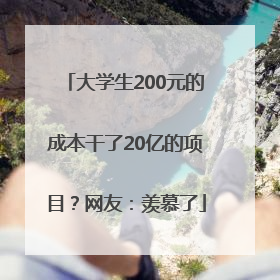 大学生200元的成本干了20亿的项目？网友：羡慕了