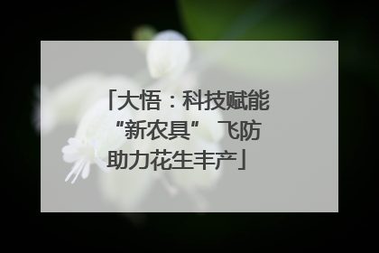 大悟：科技赋能“新农具” 飞防助力花生丰产