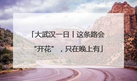 大武汉一日丨这条路会“开花”，只在晚上有
