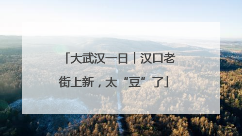 大武汉一日︱汉口老街上新，太“豆”了