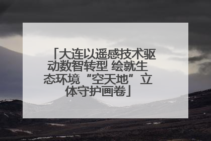 大连以遥感技术驱动数智转型 绘就生态环境“空天地”立体守护画卷