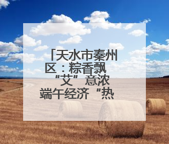 天水市秦州区：粽香飘 “艾”意浓 端午经济“热”起来