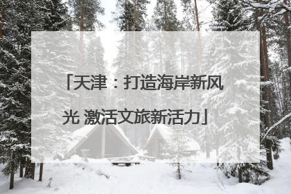 天津：打造海岸新风光 激活文旅新活力