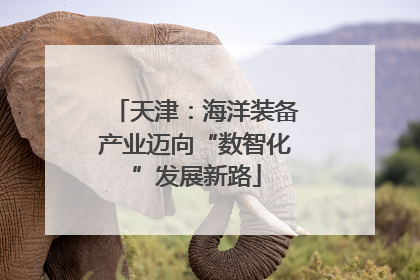 天津：海洋装备产业迈向“数智化”发展新路