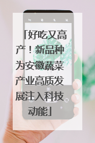 好吃又高产！新品种为安徽蔬菜产业高质发展注入科技动能