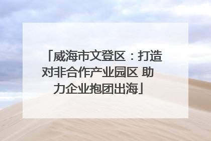 威海市文登区：打造对非合作产业园区 助力企业抱团出海