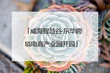 威海智慧谷·东华跨境电商产业园开园