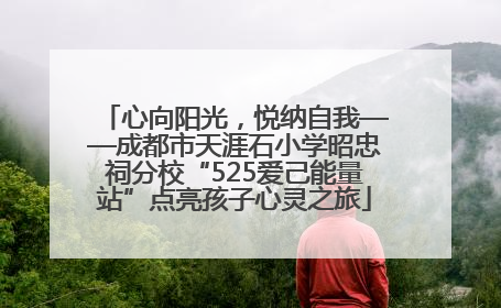 心向阳光，悦纳自我——成都市天涯石小学昭忠祠分校“525爱己能量站”点亮孩子心灵之旅