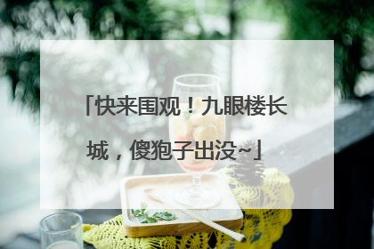 快来围观！九眼楼长城，傻狍子出没~