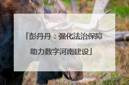 彭丹丹：强化法治保障 助力数字河南建设