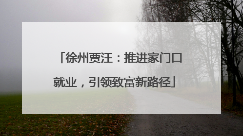 徐州贾汪：推进家门口就业，引领致富新路径