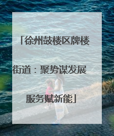 徐州鼓楼区牌楼街道：聚势谋发展 服务赋新能