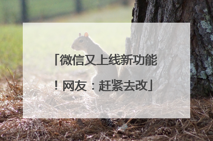 微信又上线新功能！网友：赶紧去改