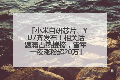 小米自研芯片、YU7齐发布！相关话题霸占热搜榜，雷军一夜涨粉超20万