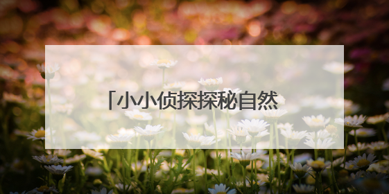 小小侦探探秘自然 端午文化焕发新光