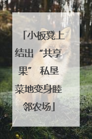 小板凳上结出“共享果” 私垦菜地变身睦邻农场