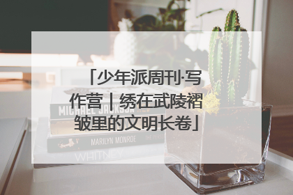少年派周刊·写作营｜绣在武陵褶皱里的文明长卷