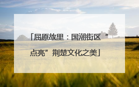 屈原故里：国潮街区“点亮”荆楚文化之美