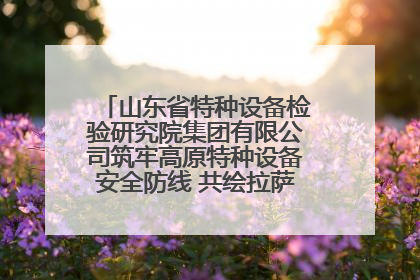 山东省特种设备检验研究院集团有限公司筑牢高原特种设备安全防线 共绘拉萨美好生活画卷