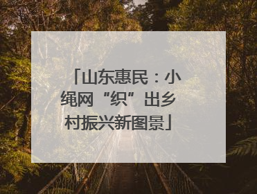 山东惠民：小绳网“织”出乡村振兴新图景