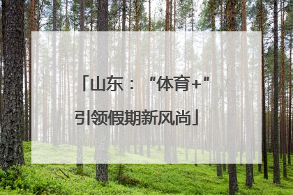 山东：“体育+”引领假期新风尚