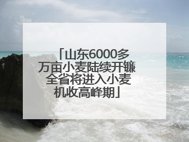 山东6000多万亩小麦陆续开镰 全省将进入小麦机收高峰期