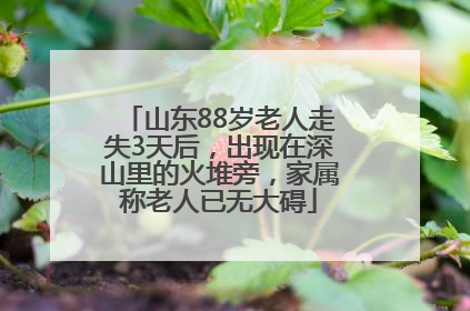 山东88岁老人走失3天后，出现在深山里的火堆旁，家属称老人已无大碍