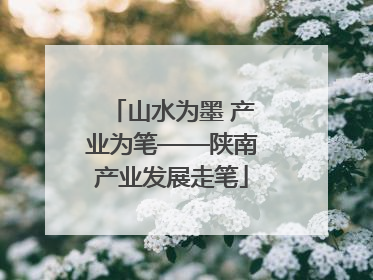 山水为墨 产业为笔——陕南产业发展走笔