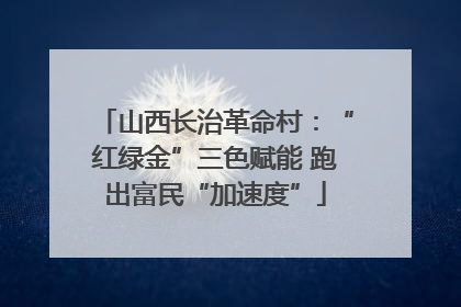 山西长治革命村：“红绿金”三色赋能 跑出富民“加速度”