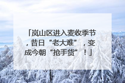 岚山区进入麦收季节，昔日“老大难”，变成今朝“抢手货”！