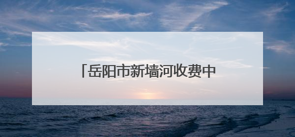岳阳市新墙河收费中心为民服务暖人心