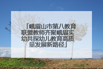 峨眉山市第八教育联盟教师齐聚峨眉实幼共探幼儿教育高质量发展新路径