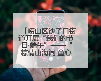 崂山区沙子口街道开展“我们的节日·端午”——“粽情山海间 童心乘风浪”文明实践活动