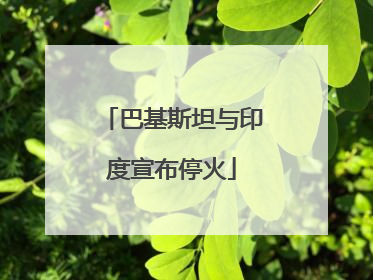 巴基斯坦与印度宣布停火