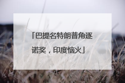 巴提名特朗普角逐诺奖，印度恼火