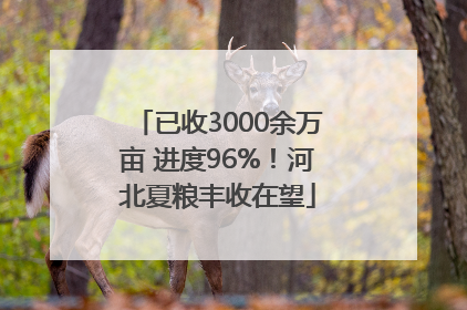 已收3000余万亩 进度96%！河北夏粮丰收在望