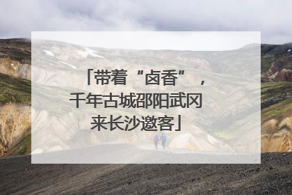 带着“卤香”，千年古城邵阳武冈来长沙邀客