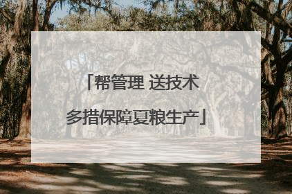 帮管理 送技术 多措保障夏粮生产