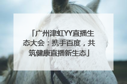 广州津虹YY直播生态大会：携手百度，共筑健康直播新生态