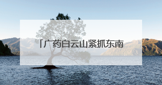 广药白云山紧抓东南亚市场机遇，开启医药产业合作新篇！