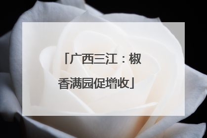 广西三江：椒香满园促增收