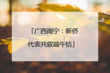 广西南宁：新侨代表共叙端午情