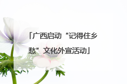 广西启动“记得住乡愁”文化外宣活动