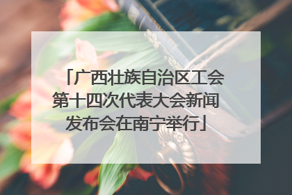 广西壮族自治区工会第十四次代表大会新闻发布会在南宁举行