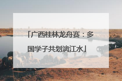 广西桂林龙舟赛：多国学子共划漓江水